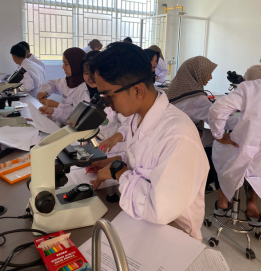 LAB Anatomi Basah